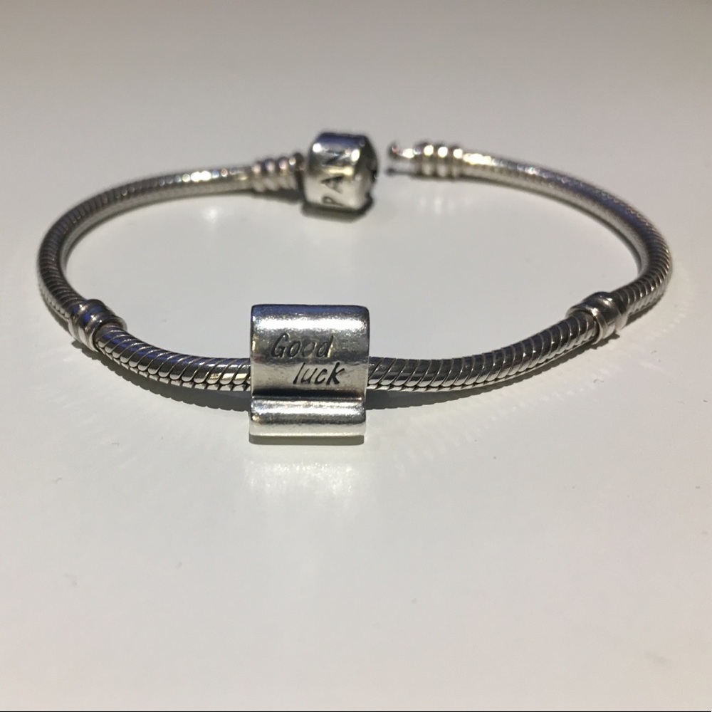 Pandora Original Good Luck Charm